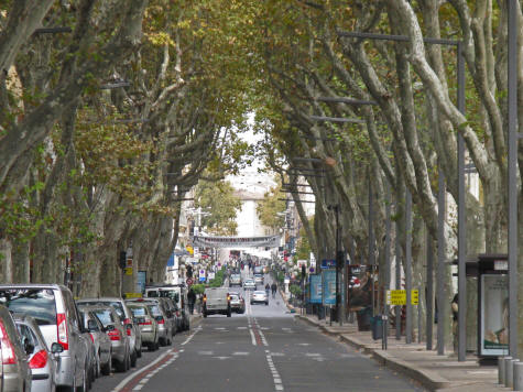 Cours Jean Jaurez, Avignon France