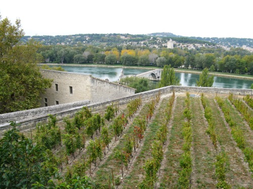 Avignon France Hop-on Hop-off Bus Tour